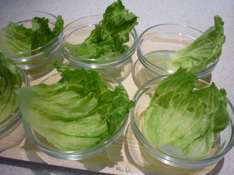 Glass bowels for Prawn Cocktails.